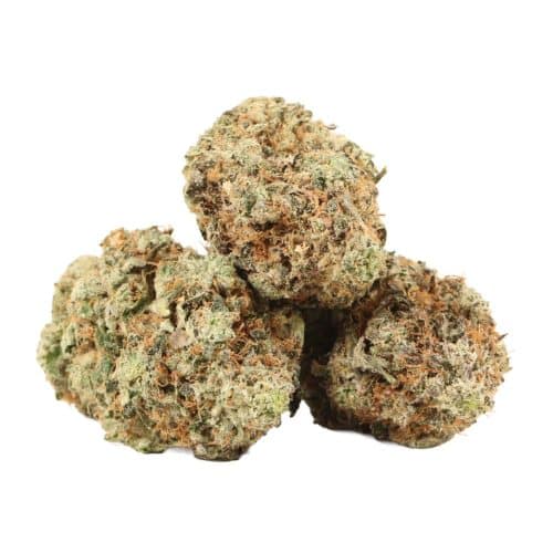 Shiskaberry strain cannabis