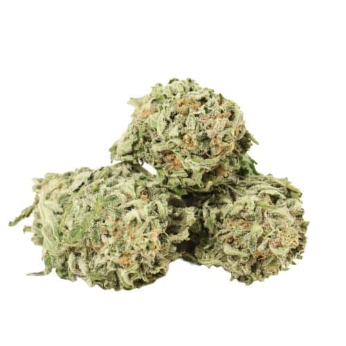 Starbud strain cannabis