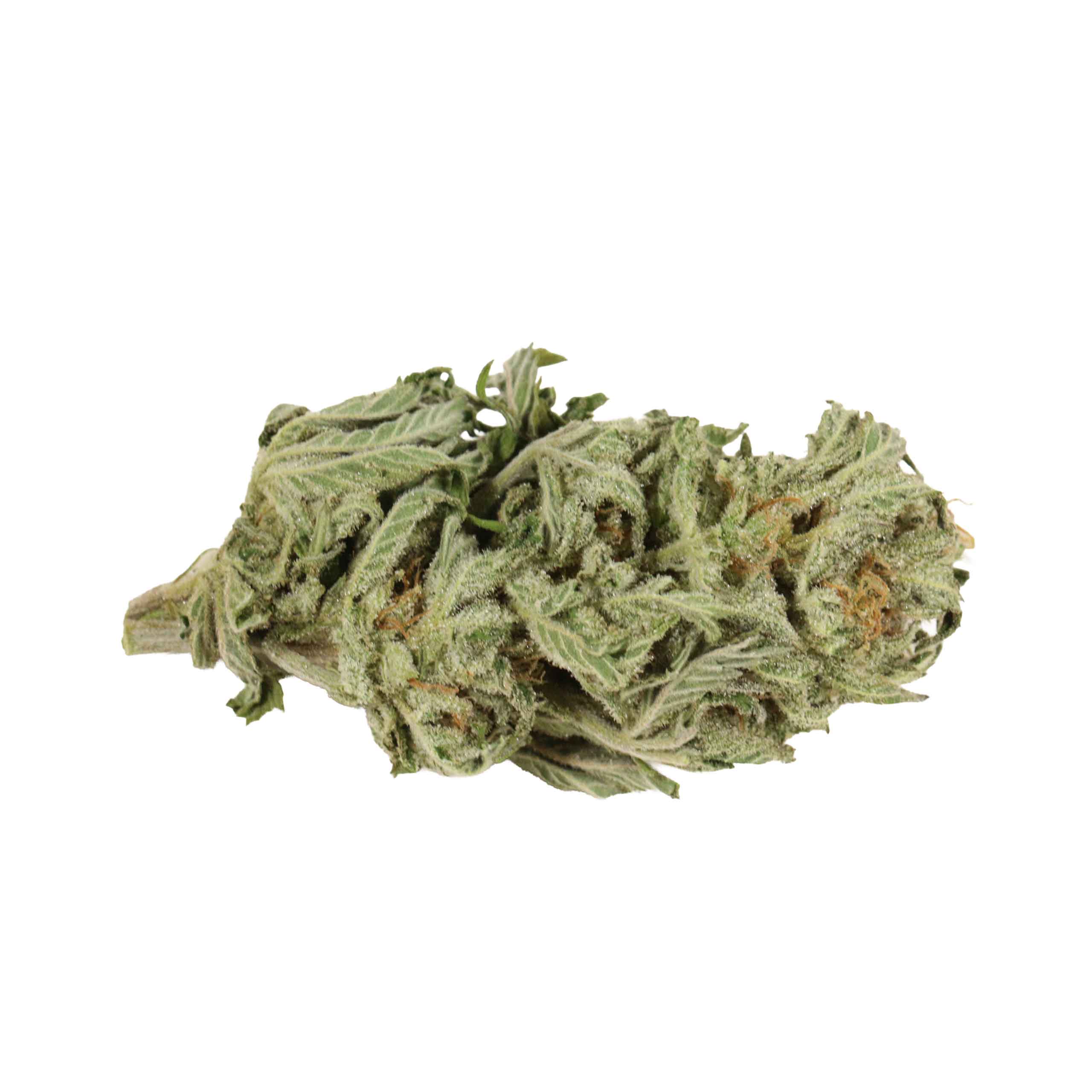 Starbud weed cannabis