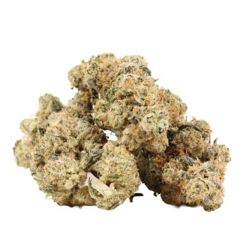 Tropicana Jet Fuel strain cannabis