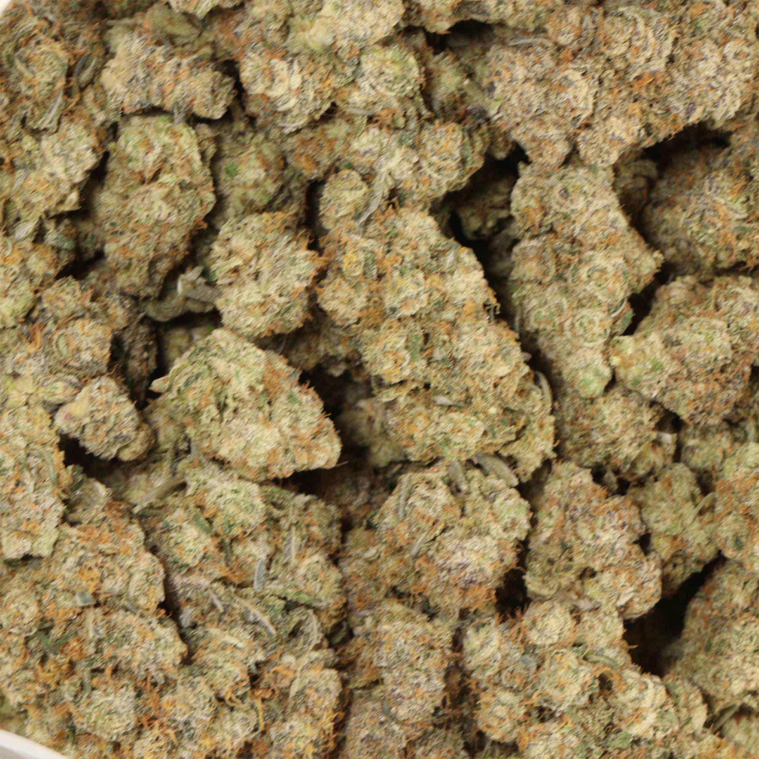 Tropicana Jet Fuel cannabis