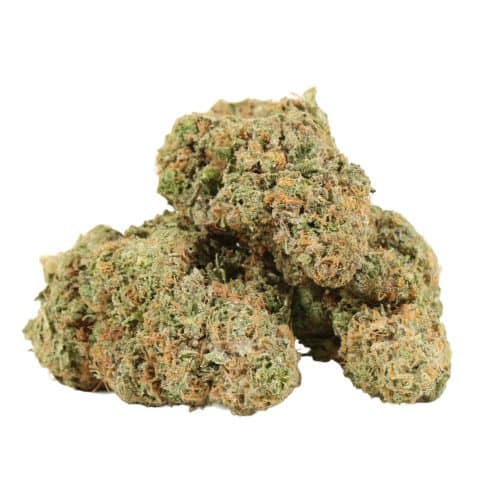 White Diamond strain cannabis