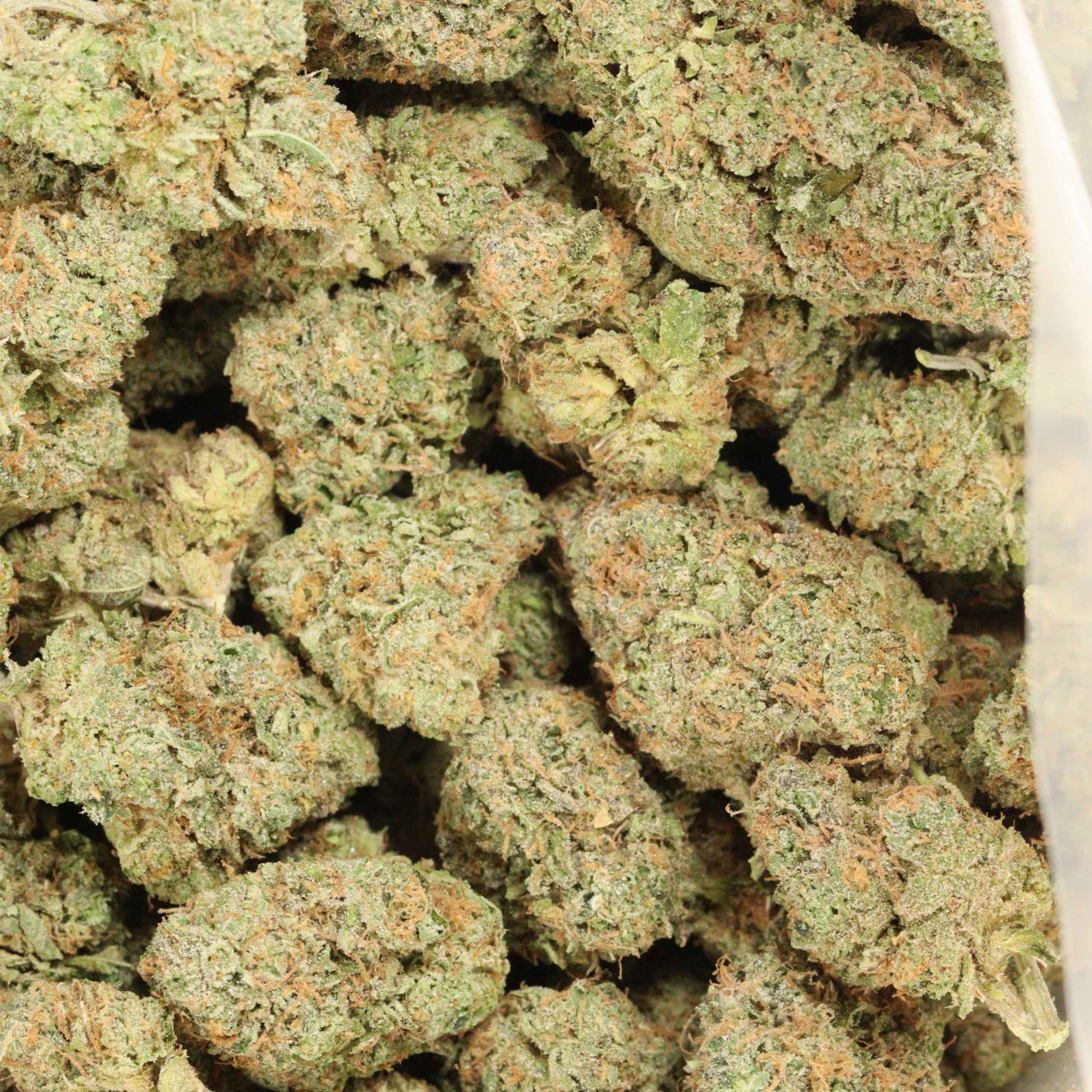 White Diamond cannabis