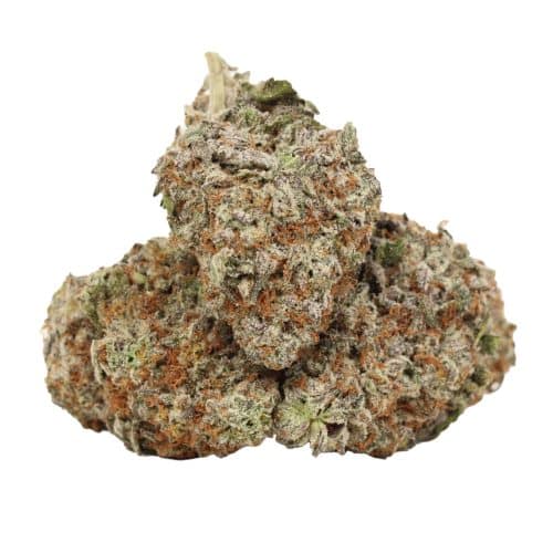 Four Star General strain cannabis