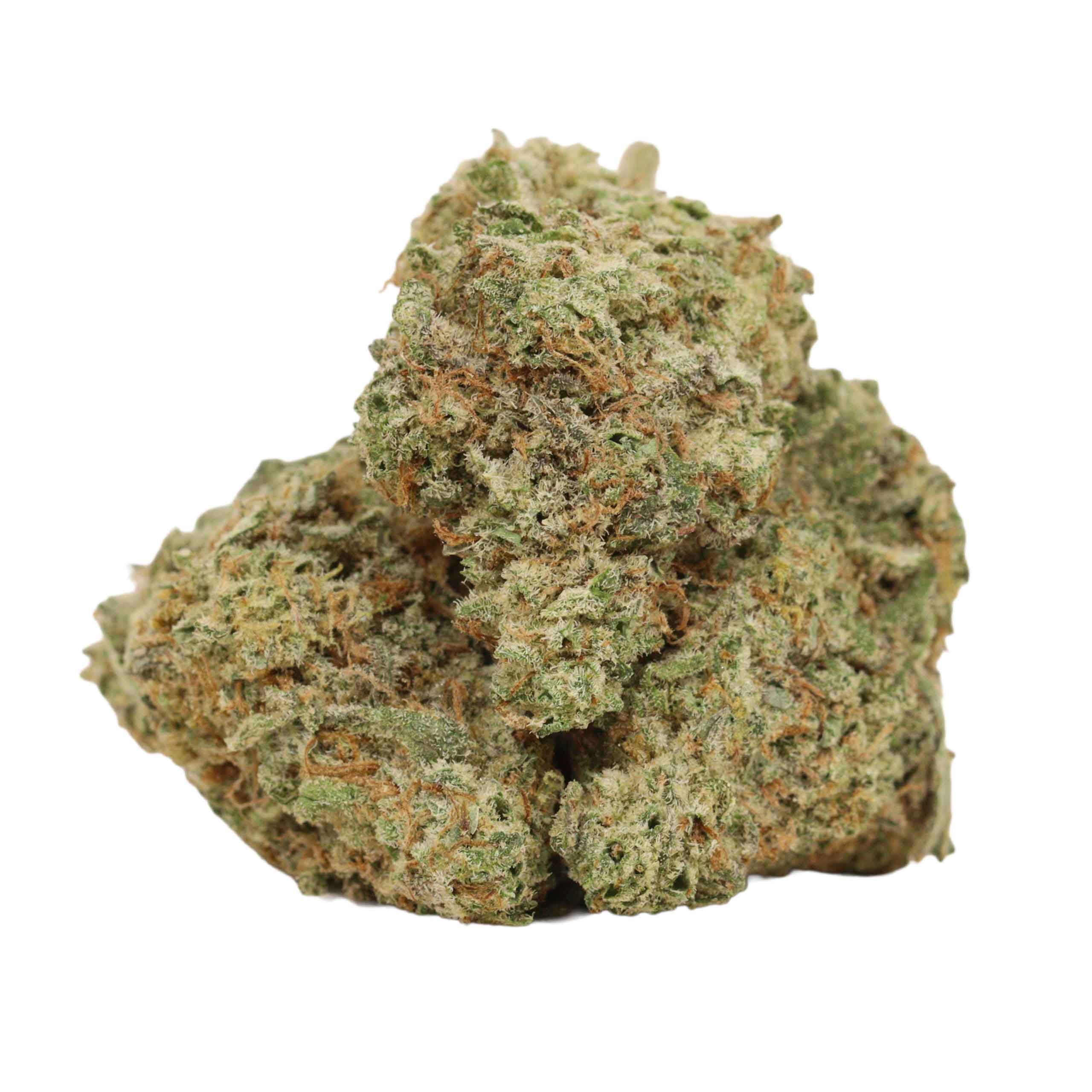 94 Monkey strain cannabis