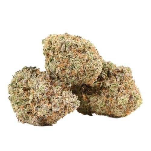 94 Octane strain cannabis