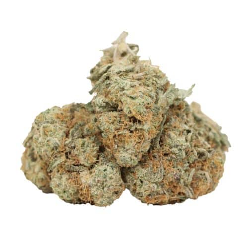 Afghani Kush strain cannabis