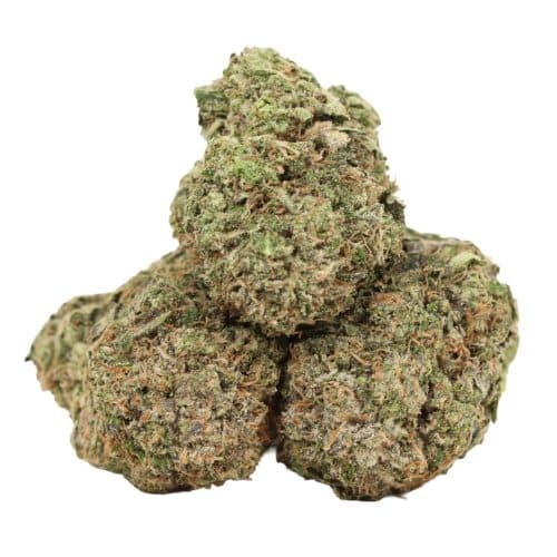 Afghani Death Bubba strain cannabis