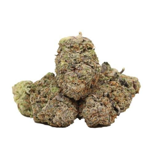 Astro Pink Kush strain cannabis