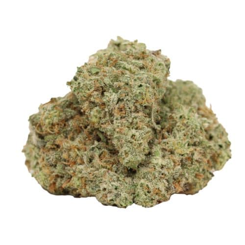 Blue Dream strain cannabis