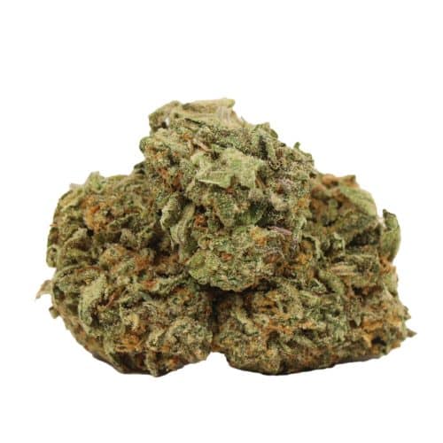 BlueFin Tuna strain cannabis