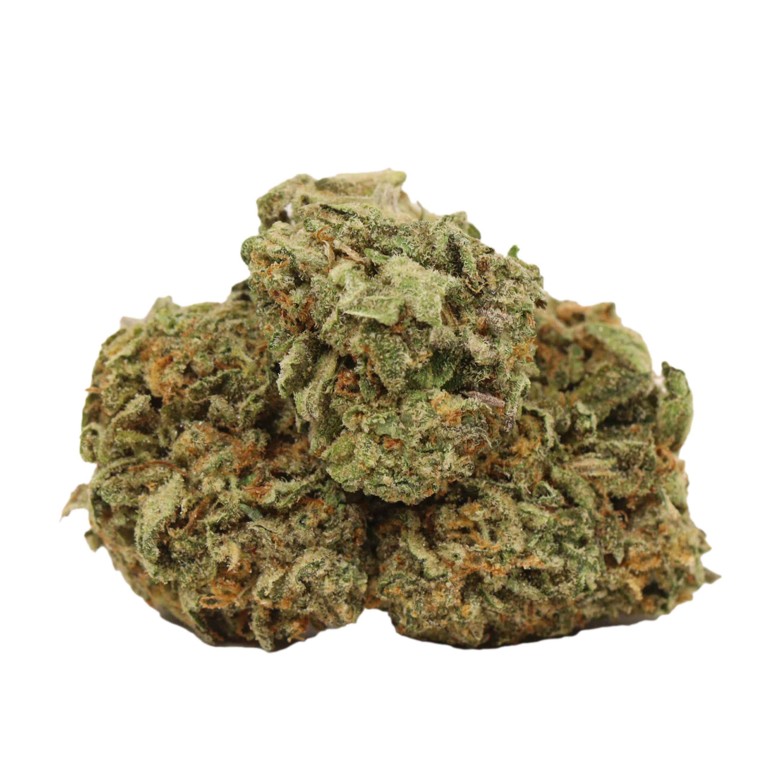 BlueFin Tuna strain cannabis