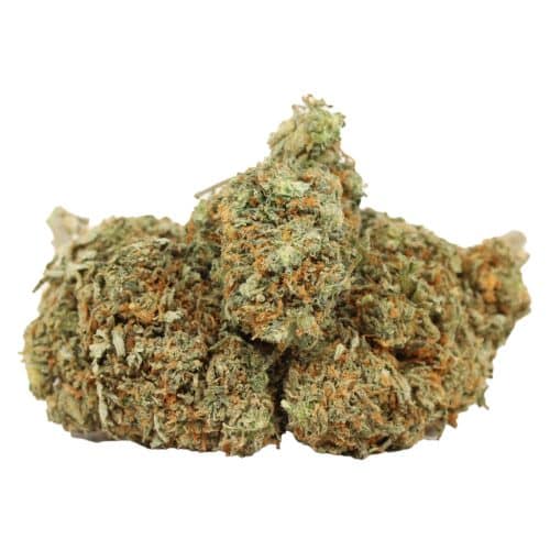 Bubba Kush strain cannabis