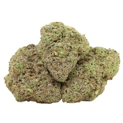 Butterscotch strain cannabis