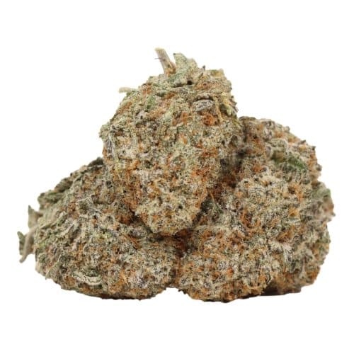 Cake Donut strain cannabis