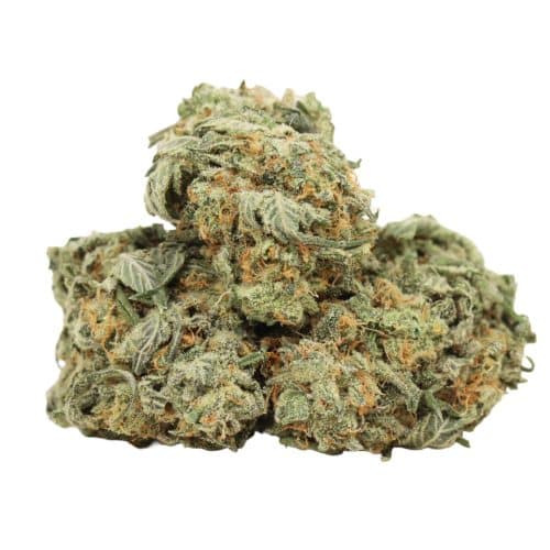 Cherry OG strain cannabis