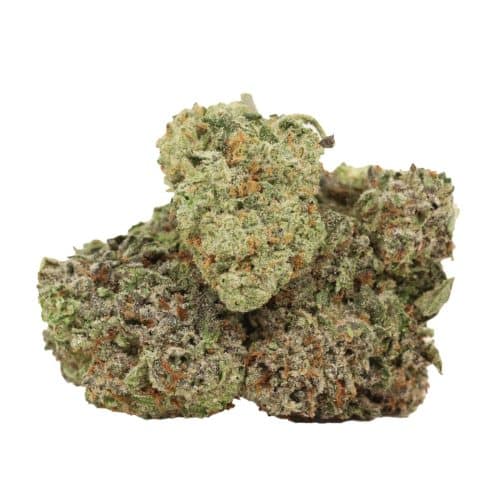 Coma Kush strain cannabis