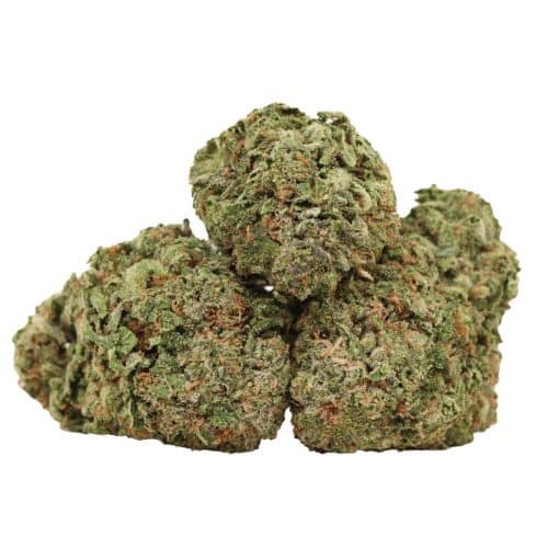 Death Rock strain cannabis