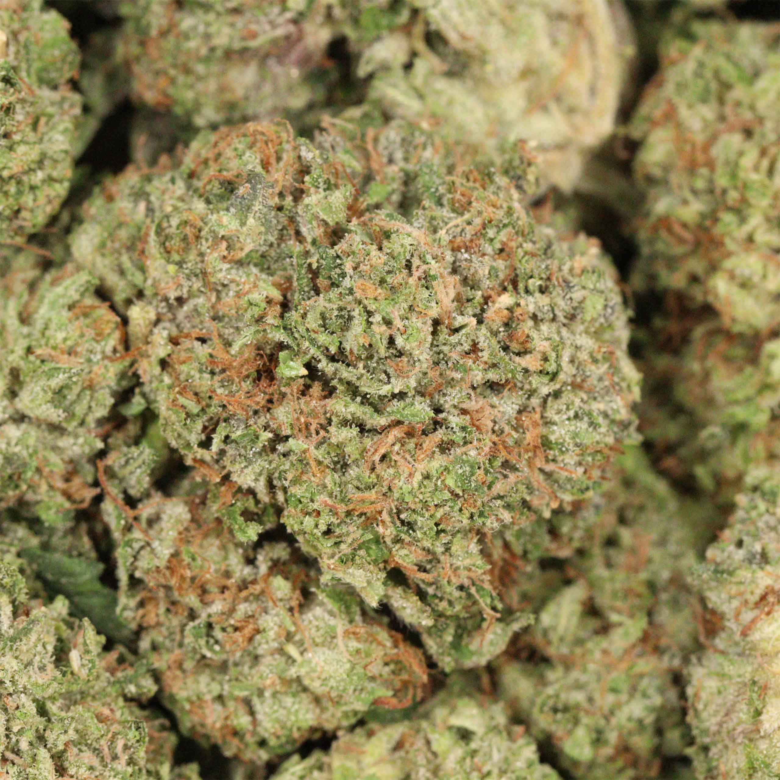 Death Rock cannabis