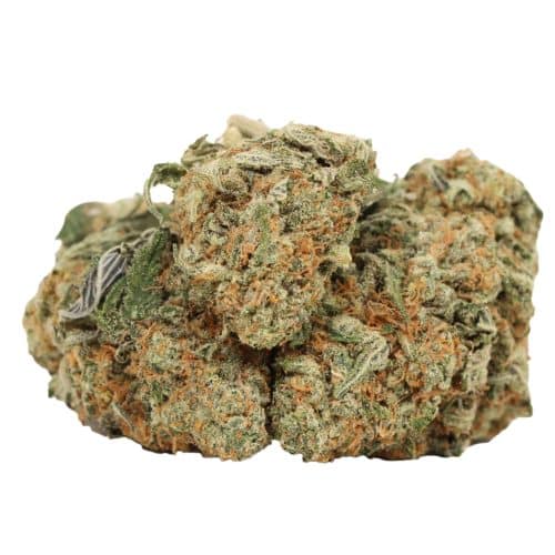 Diablo OG Kush strain cannabis