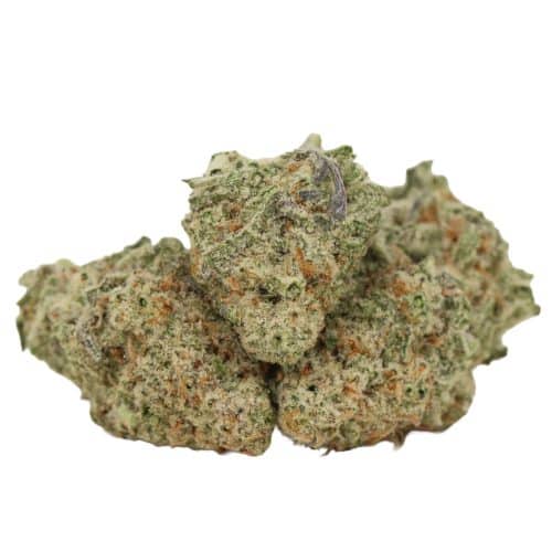 Dirty Mac strain cannabis