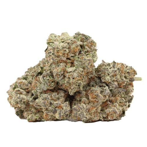 Dream Wedding strain cannabis