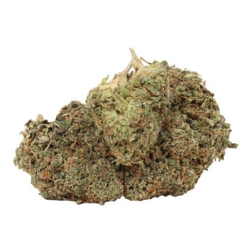 EL Chapo strain cannabis