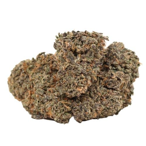 Forbidden Runtz strain cannabis