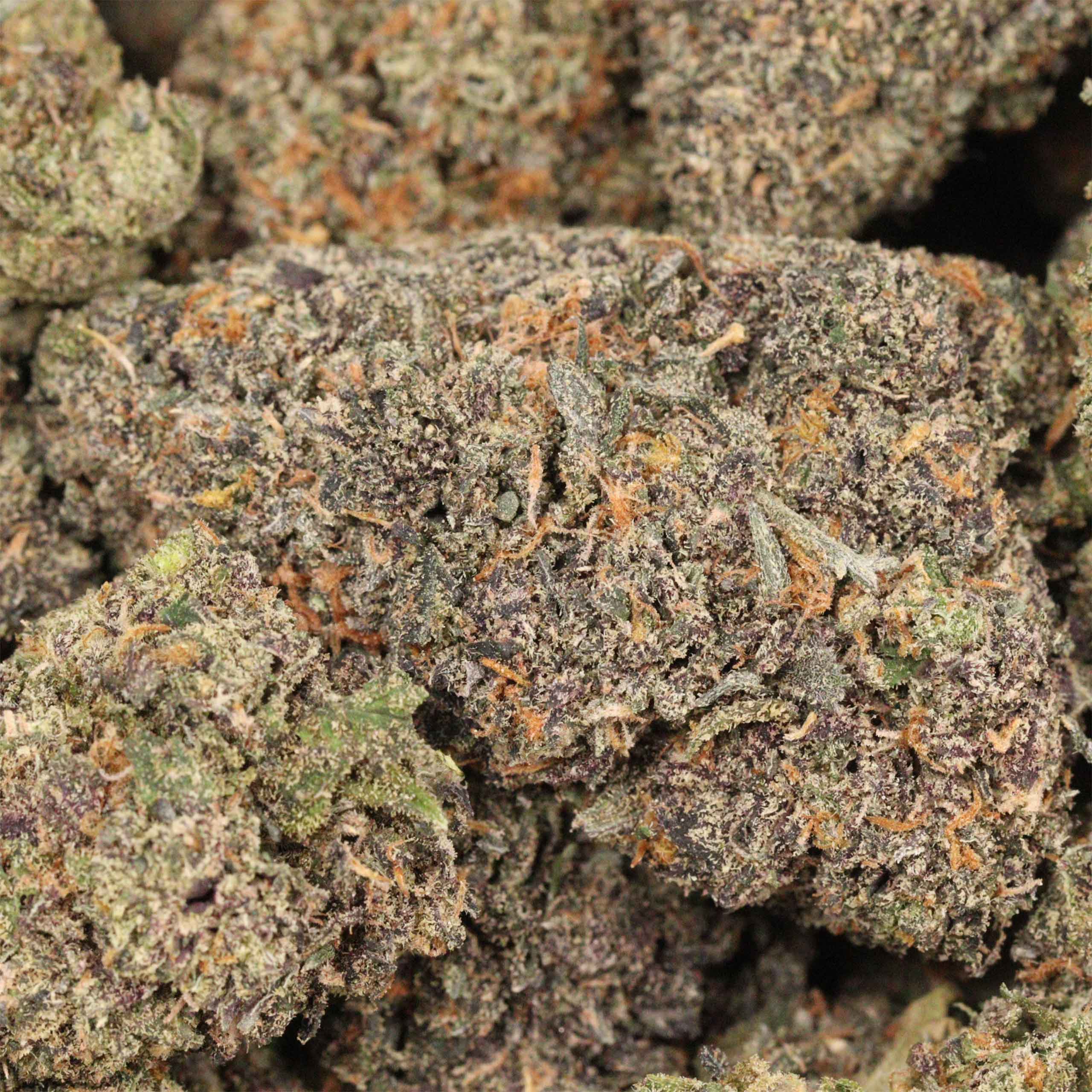 Forbidden Runtz cannabis