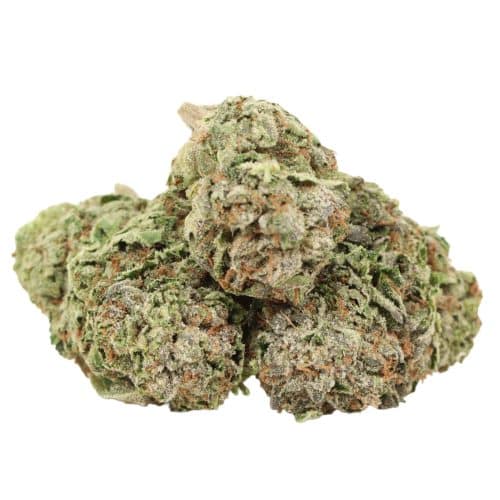 Gas Monkey strain cannabis