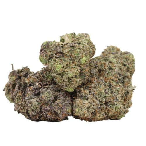 Gas Daddy strain cannabis