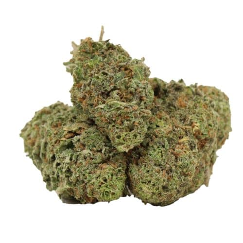 Girl Scout Cookies strain cannabis