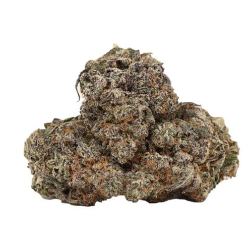 GrandDaddy Death strain cannabis