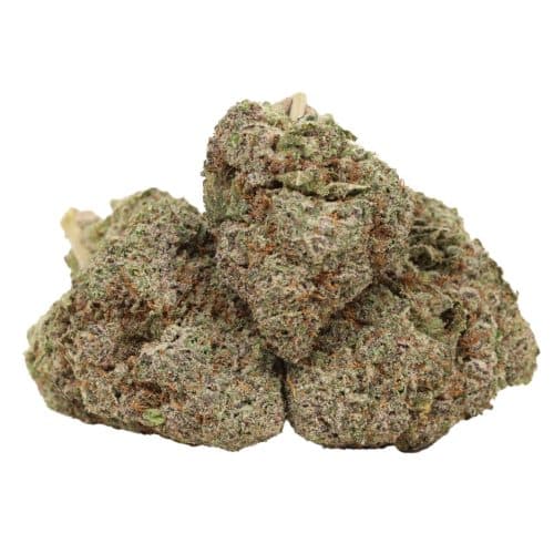 Grape Krush strain cannabis