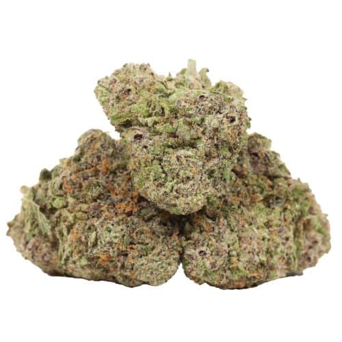 High Society craft strain cannabis