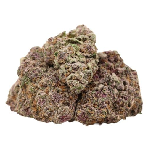 Huckleberry Soda strain cannabis