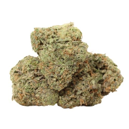 Jungle Mints strain cannabis