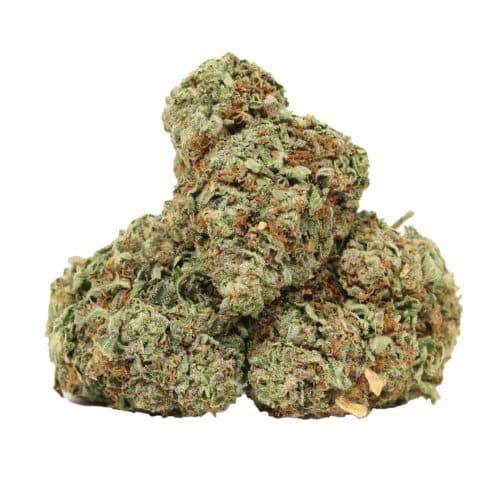 Khalifa Kush strain cannabis