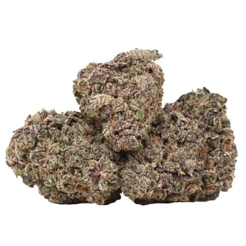 Kombucha strain craft cannabis