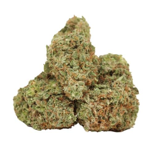 Lemon Sour Diesel strain cannabis