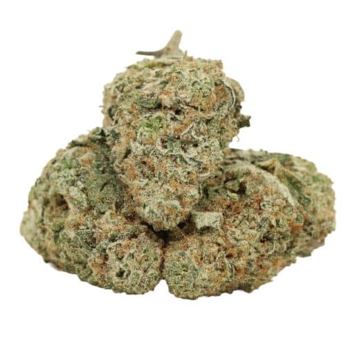 Orange Push Pop strain cannabis