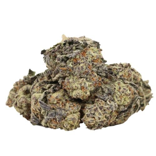 Pine Tar Kush strain cannabis