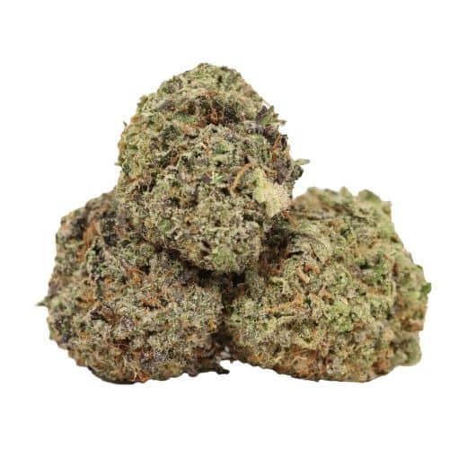 Pink Cookies strain craft cannabis