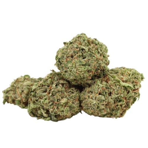 Pink Muerte strain cannabis