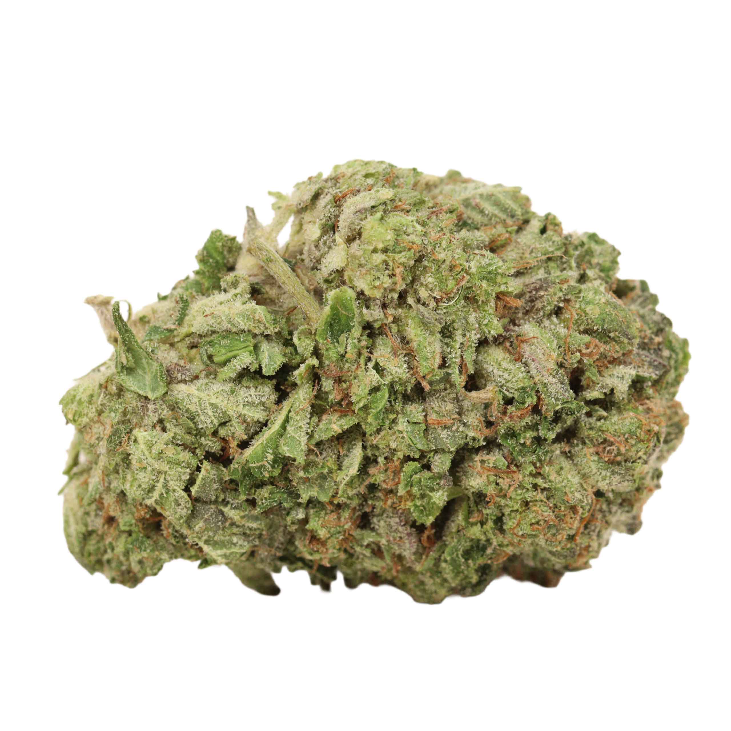 Pink Muerte weed cannabis