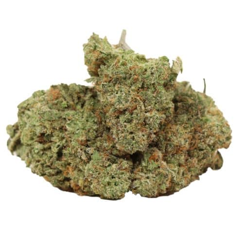 Pink OG strain cannabis