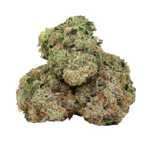 Pink Pussy strain cannabis