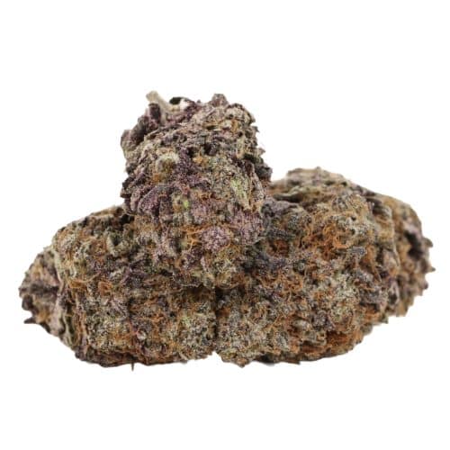 Purple Blizzard strain craft cannabis