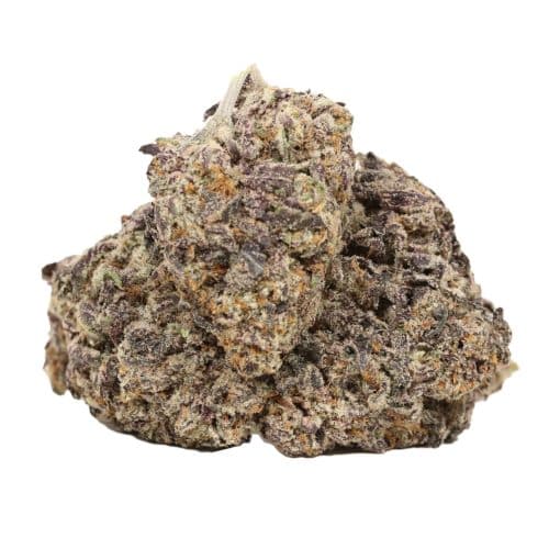 Purple Queen strain craft cannabis