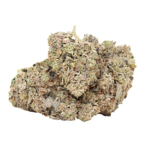 Quadzilla strain craft cannabis